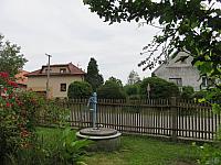 Třibřichy