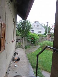 Třibřichy