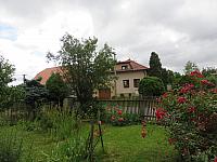 Třibřichy