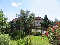 Třibřichy