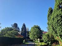 Olešná