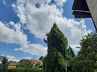 Olešná