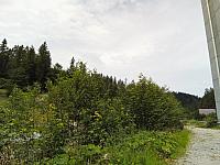 Skalité
