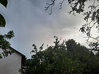 Olešná