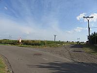 Třibřichy