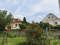 Třibřichy