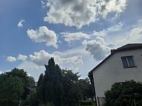 Olešná