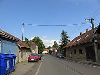 Třibřichy