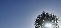 Holčovice