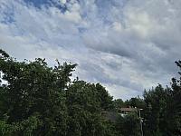 Olešná