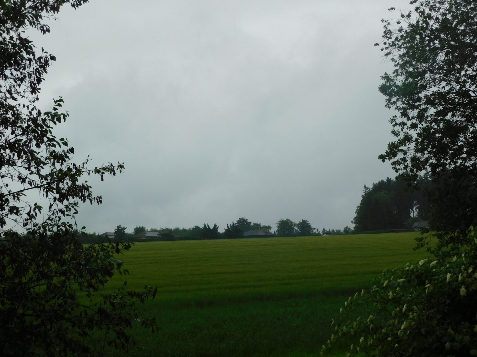 Němčice Zhoř
