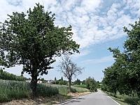Lukovany