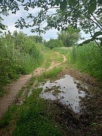 Svatý Mikuláš