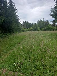 Svatý Mikuláš