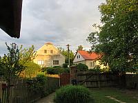 Třibřichy