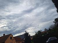 Olešná
