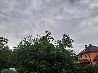 Olešná