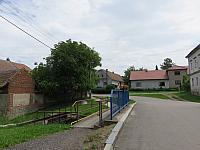 Třibřichy