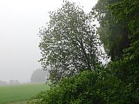 Němčice Zhoř