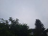 Olešná