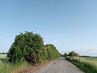 Lukovany