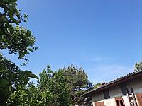 Olešná