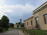 Třibřichy