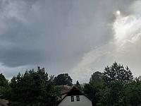 Olešná