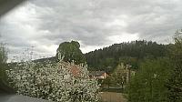 Hvozdnica