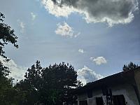 Olešná