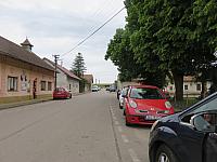 Třibřichy