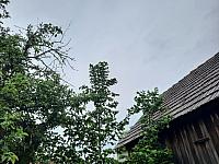 Mezná 