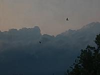 Olomouc-Lazce