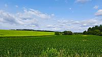 Lukovany