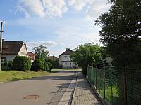 Třibřichy