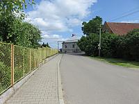 Třibřichy