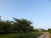 Dětenice-Brodek