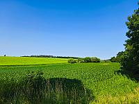Lukovany