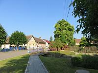 Třibřichy