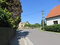 Třibřichy