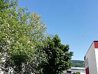 Nižná