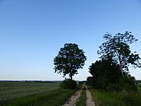Dětenice-Brodek