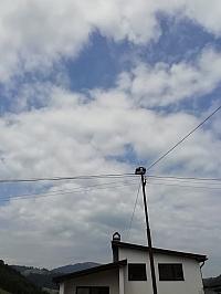 Nižná