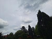 Olešná