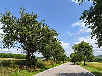Lukovany