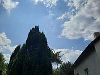 Olešná