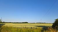 Lukovany