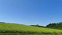 Lukovany