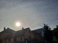 Olešná