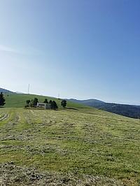 Nižná